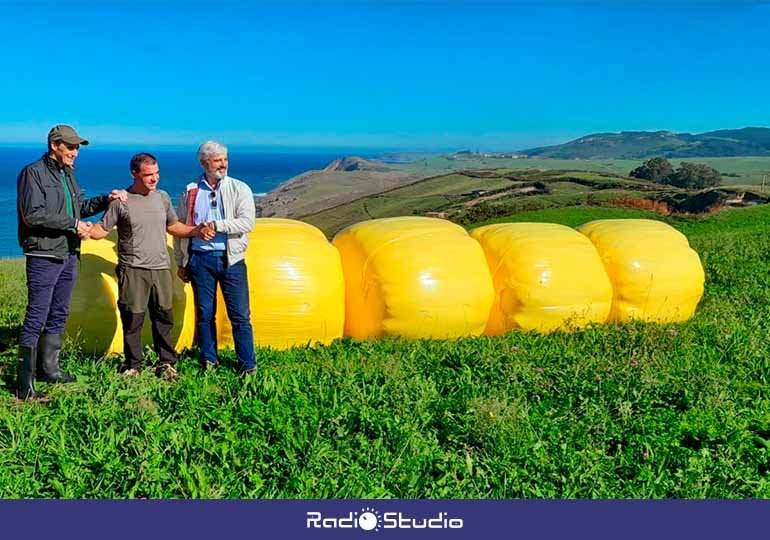 Plástico ganadero que comercializará Aspla en Alfoz de Lloredo en homenaje al limón y a beneficio de la lucha contra el cáncer | Foto: Archivo