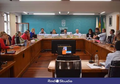 Imagen del Pleno del Ayuntamiento de Pi&eacute;lagos de este mes de junio