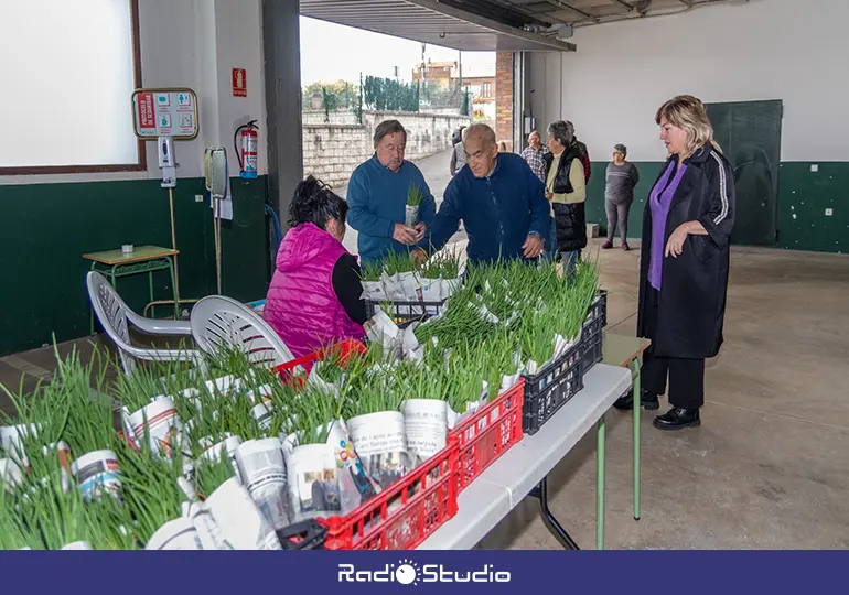 Polanco inicia el reparto de plantas de huerto.