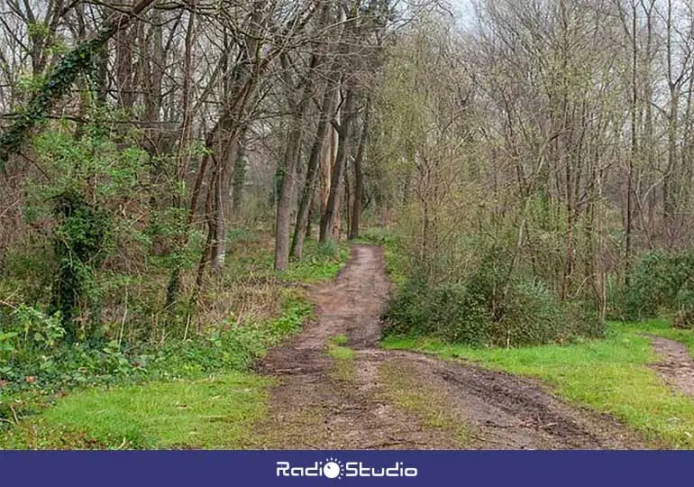 En la restauración medioambiental del Parque de Las Tablas, conocido popularmente como 'patatal', se prevén invertir 3,9 millones de euros.