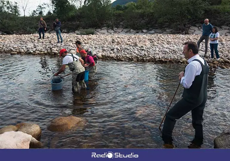 Labores de rescate y traslado de peces del Río Pas con motivo del descenso del caudal por la sequía