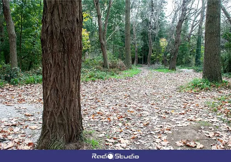 La subvención europea permitirá continuar con el ambicioso proyecto de recuperación ambiental del parque de Las Tablas, conocido popularmente como 'el patatal'.