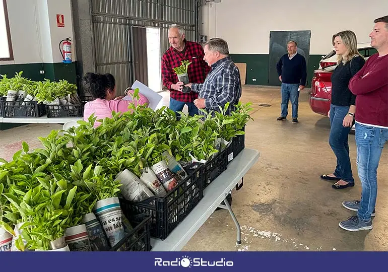 El reparto de plantas de huerta en Polanco ha batido este año récord de participación.