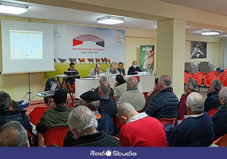 Asamblea general de la Ronda Marcera de Torrelavega celebrada hace unos días.