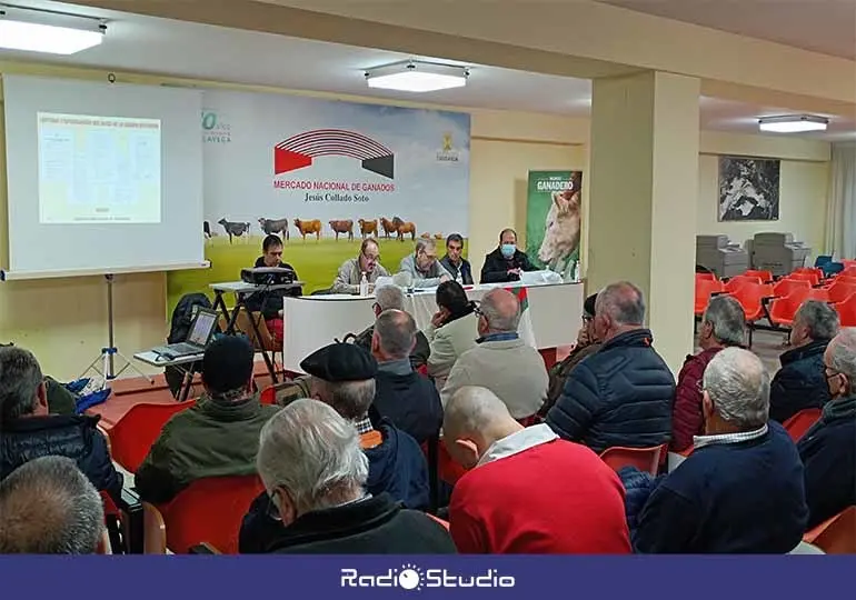 Asamblea general de la Ronda Marcera de Torrelavega celebrada hace unos días.