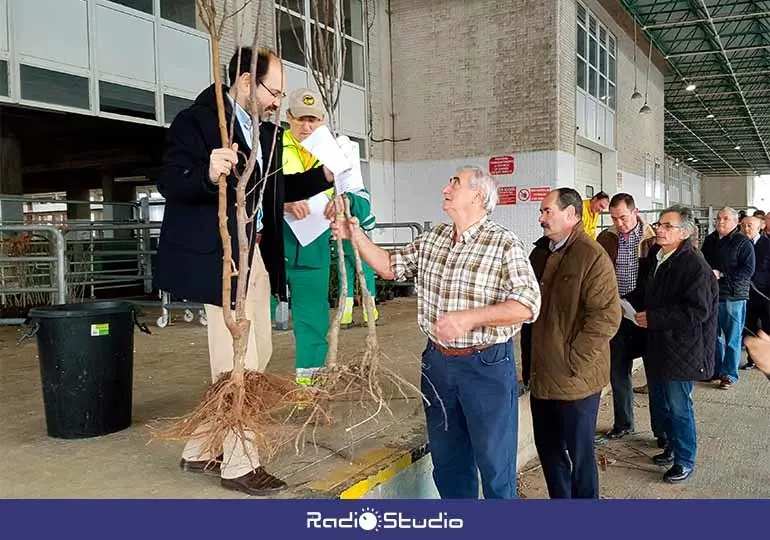 Foto de archivo del reparto de árboles del año pasado en la dársena del Ferial de Torrelavega.