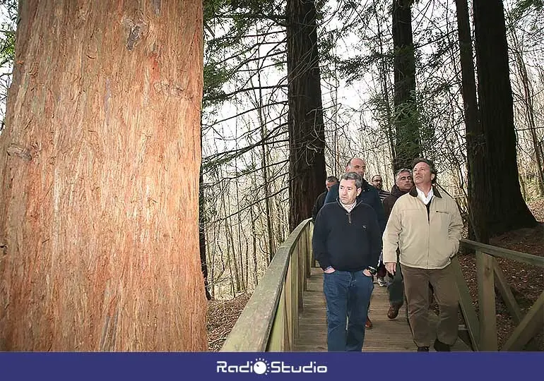 El bosque de secuoyas, declarado monumento natural, recibe cada año la visita de miles de personas.