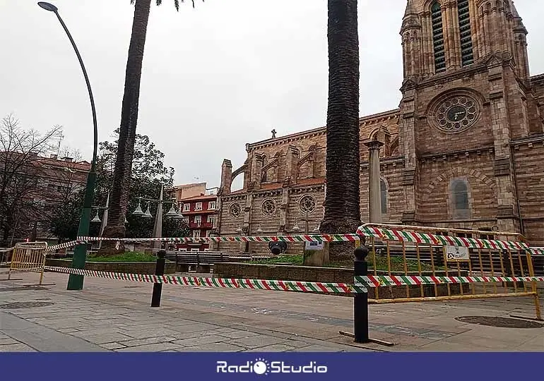 El perímetro de las dos palmeras de La Asunción se ha vallado para realizar labores de mantenimiento y tratamiento.