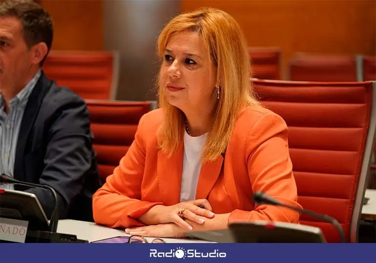 La senadora c&aacute;ntabra Elena Castillo (PP), en la Comisi&oacute;n de Investigaci&oacute;n del apag&oacute;n.