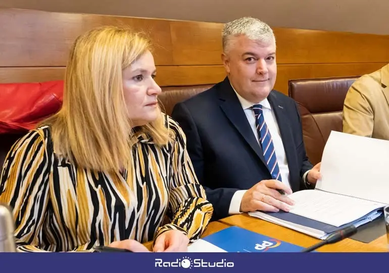 El consejero de Econom&iacute;a, Hacienda, Financiaci&oacute;n Auton&oacute;mica y Fondos Europeos, Luis &Aacute;ngel Ag&uuml;eros, en su comparecencia en comisi&oacute;n parlamentaria | Foto: Gobierno