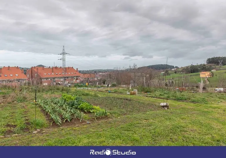 Huertos municipales de Reoc&iacute;n | Foto: Ayuntamiento