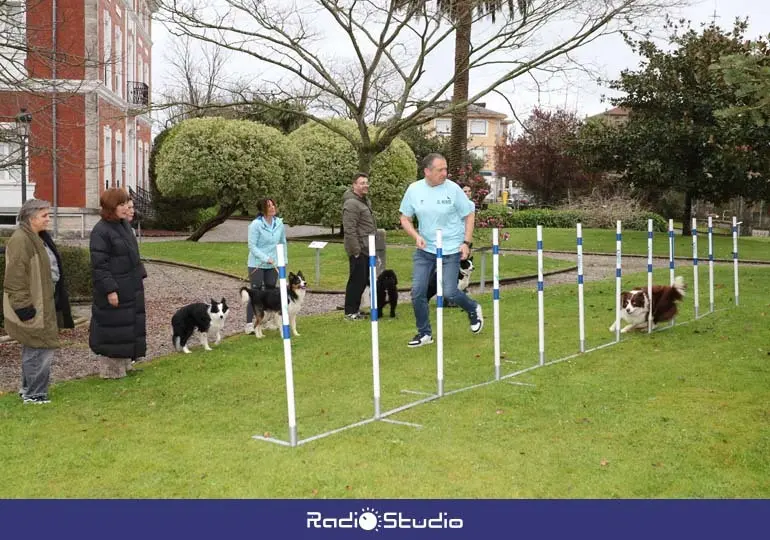 La alcaldesa de Polanco, Rosa D&iacute;az, asiste a un entrenamiento previo de alguno de los perros que tomar&aacute; parte en la prueba de Agility de Rinconeda | Foto: Ayuntamiento