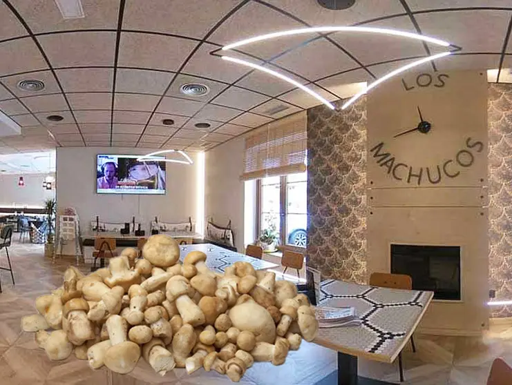 Restaurante Los Machucos