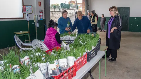 Polanco inicia el reparto de plantas de huerto.
