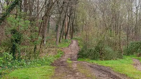 El Parque de Las Tablas, conocido popularmente como 'El Patatal'
