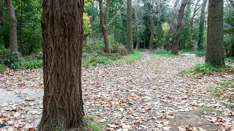 Imagen de archivo del Parque de las Tablas, conocido popularmente como El Patatal