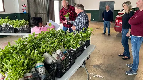 El reparto de plantas de huerta en Polanco ha batido este a&ntilde;o r&eacute;cord de participaci&oacute;n.