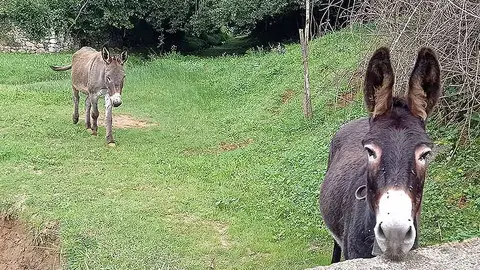 El proyecto se desarrollar&iacute;a en una finca de 6.279 metros cuadrados situada en la zona de La Llana.