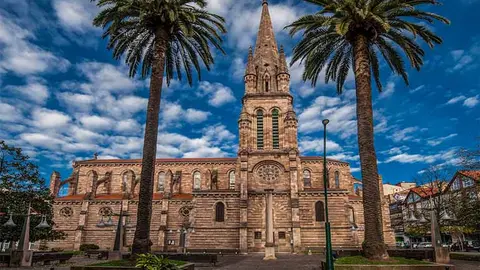 Palmeras de La Asunci&oacute;n, uno de los elementos ic&oacute;nicos y se&ntilde;as de identidad del entorno del templo.