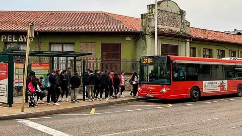 Servicio de transporte escolar del Torreb&uacute;s