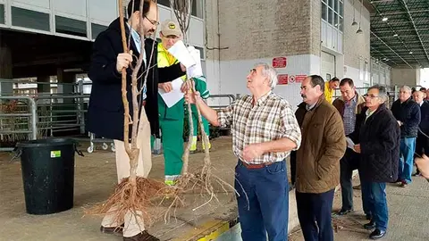 Foto de archivo del reparto de &aacute;rboles del a&ntilde;o pasado en la d&aacute;rsena del Ferial de Torrelavega.