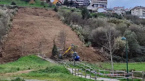 Ladera de la senda del monte donde ya han comenzado los trabajos.