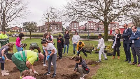 El proyecto 'Torrelavega Conexi&oacute;n Natural' comienza con varias plantaciones escolares en la Semana del &Aacute;rbol