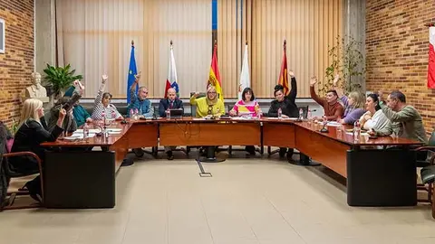 El acuerdo fue adoptado con el voto a favor de todos los grupos, excepto la abstenci&oacute;n de un concejal del PP