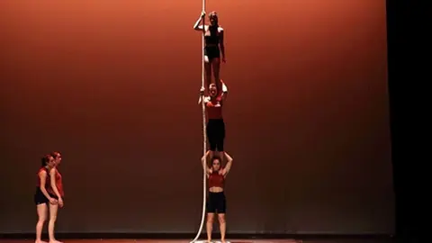 circo_web