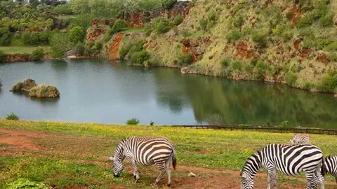 Parque de la Naturaleza de Cab&aacute;rceno