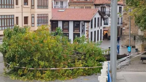 comillas web