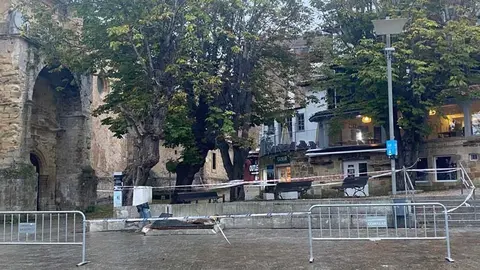 Vallado provisional realizado el pasado s&aacute;bado en la zona de los casta&ntilde;os del Corro Camp&iacute;os | Foto: Ayuntamiento