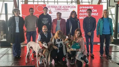 Imagen de archivo de una jornada solidaria organizada por la concejal&iacute;a de Bienestar Animal de Torrelavega