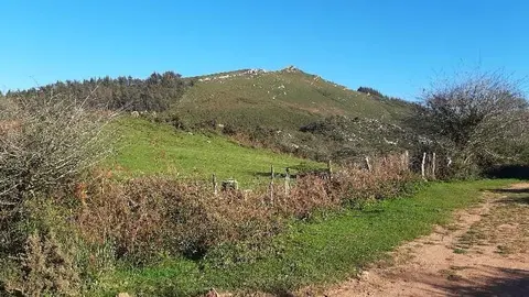 Zona del Monte Dobra, pr&oacute;xima a La Cap&iacute;a, propuesta para instalar la Ruta Familiar de Animales del Cuaternario