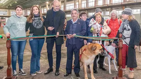Imagen de archivo de la VII Feria de Adopci&oacute;n Responsable de Torrelavega | Foto: Ayuntamiento