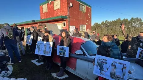 M&aacute;s de 100 personas llegadas de varias zonas de Espa&ntilde;a evitan por el momento la devoluci&oacute;n de cinco vacas "maltratadas" a su propietario | Foto: Agencia