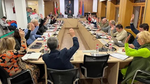 Imagen del Pleno hist&oacute;rico en el que Torrelavega ha dado luz verde al nuevo PGOU de la ciudad | Foto: Radio Studio