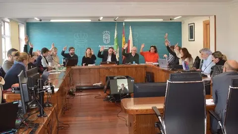 Sesi&oacute;n plenaria de Pi&eacute;lagos del mes de enero | Foto: Ayuntamiento