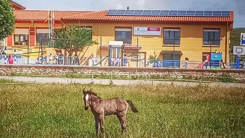 CEIP Rodr&iacute;guez de Celis | Foto: Educantabria