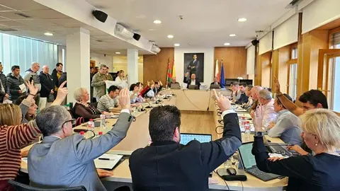 Pleno ordinario de Torrelavega correspondiente al mes de abril | Foto: Ayuntamiento