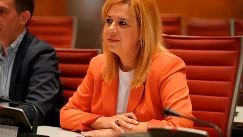La senadora c&aacute;ntabra Elena Castillo (PP), en la Comisi&oacute;n de Investigaci&oacute;n del apag&oacute;n.
