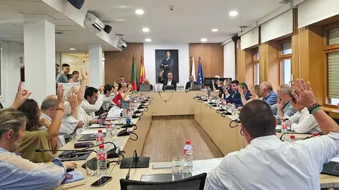 Imagen del pleno de este jueves | Foto: Ayuntamiento