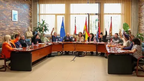 Concejales de PRC, PP y Vox votando a favor de la moci&oacute;n sobre las mejoras en la autov&iacute;a&nbsp;| Foto: Ayuntamiento