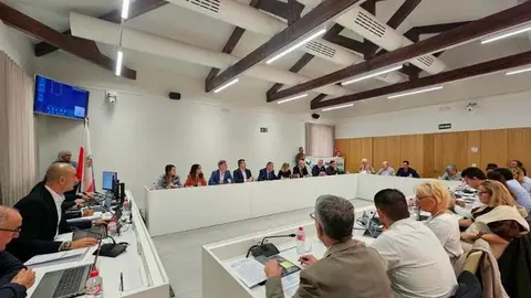 El Pleno ordinario de noviembre en Torrelavega ha tenido pol&eacute;mica | Foto: Ayuntamiento