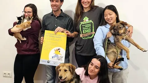 Medio centenar de perros y gatos buscar&aacute;n el pr&oacute;ximo 14 de diciembre un hogar y una familia.