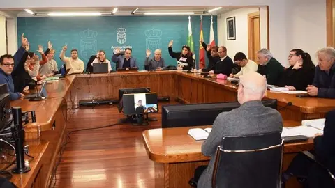 Pleno extraordinario de Pi&eacute;lagos | Foto: Ayuntamiento
