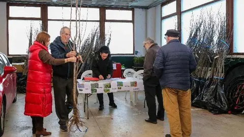 La alcaldesa, Rosa D&iacute;az, y la concejal de Medio Ambiente, Isabel Herrera, durante el reparto de los &aacute;rboles de la campa&ntilde;a Polanco Verde | Foto: Ayuntamiento