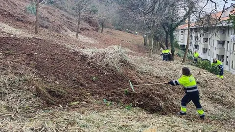Han comenzado ya los trabajos de restauraci&oacute;n en la Ladera del Monte | Foto: Ayuntamiento de Suances