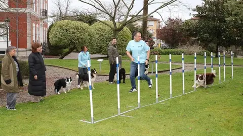 La alcaldesa de Polanco, Rosa D&iacute;az, asiste a un entrenamiento previo de alguno de los perros que tomar&aacute; parte en la prueba de Agility de Rinconeda | Foto: Ayuntamiento