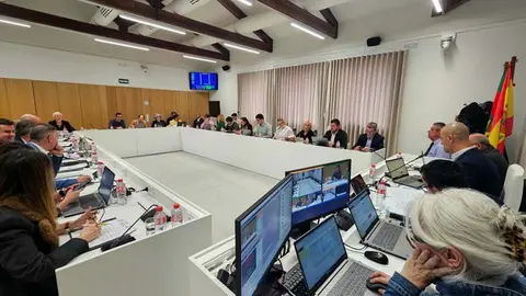 Pleno de la Corporaci&oacute;n de Torrelavega de marzo de 2026 | Foto: Ayuntamiento